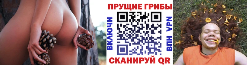 Псилоцибиновые грибы MAGIC MUSHROOMS  omg вход  Верея 